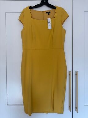 Ann Taylor Mustard Scallop Neck Midi Sheath Dress